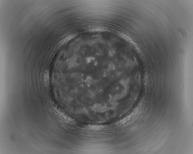 X0000112000825200908031227