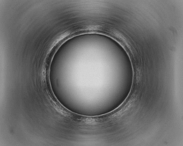 X0000112000827200908031227