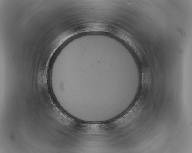 X0000112000828200908031227