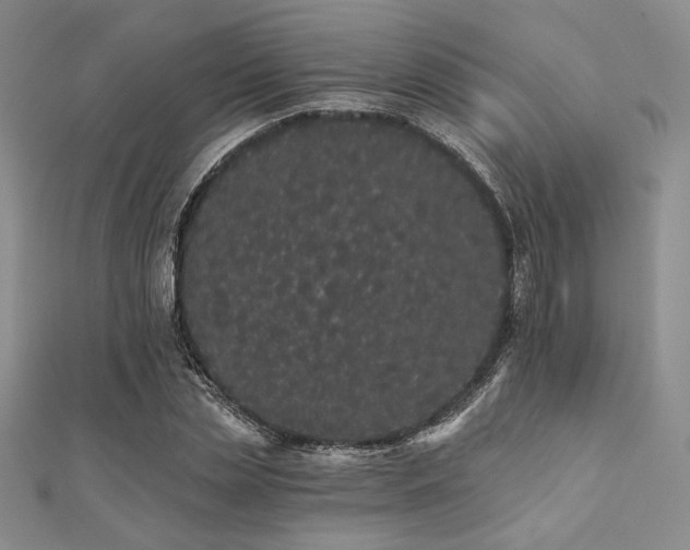 X0000112000829200908031227