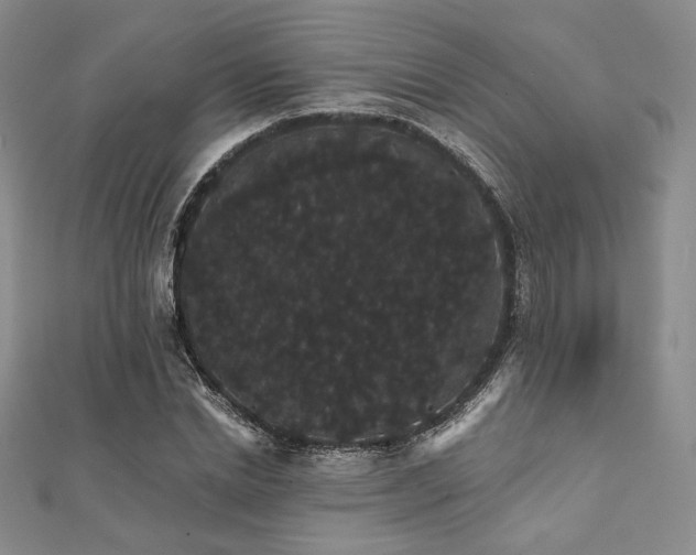 X0000112000830200908031227