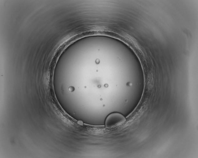 X0000112000831200908031227