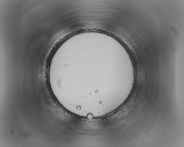 X0000112000832200908031227