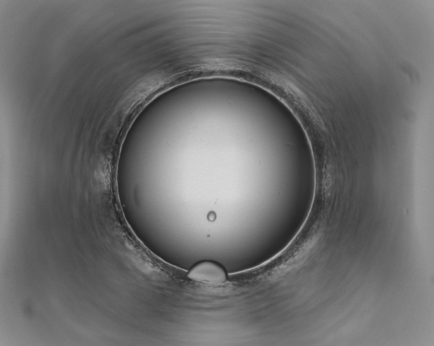 X0000112000833200908031227