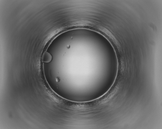 X0000112000834200908031227