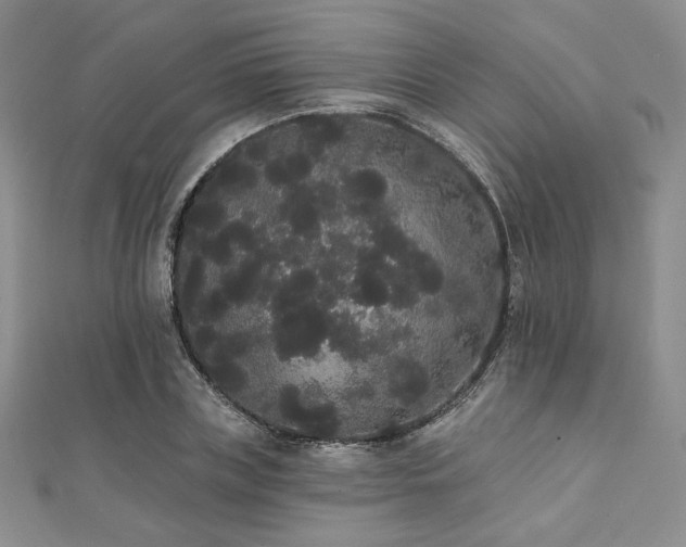 X0000112000835200908031227