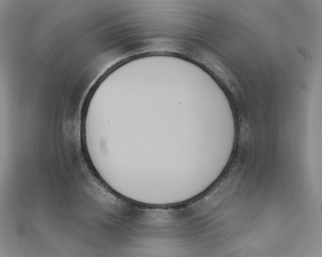 X0000112000836200908031227