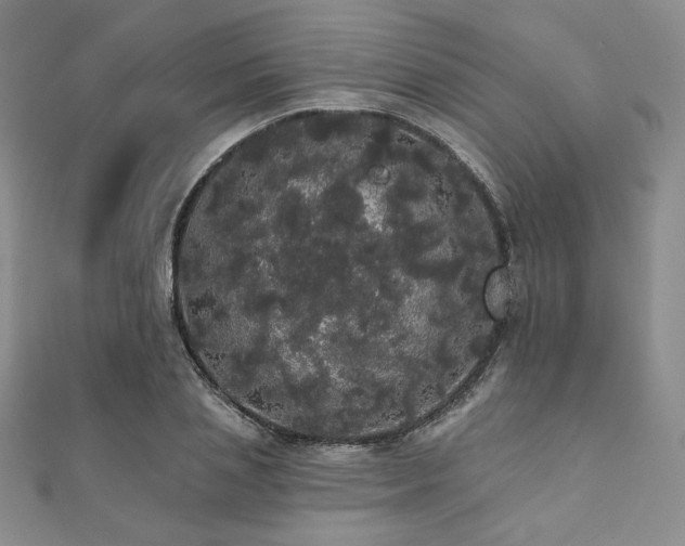 X0000112000837200908031227