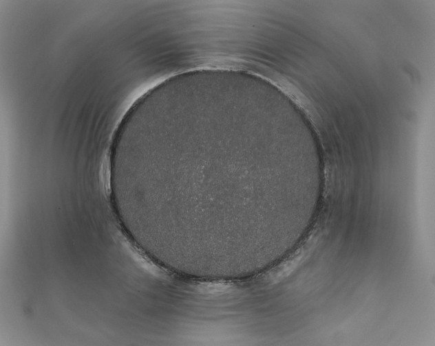 X0000112000838200908031227