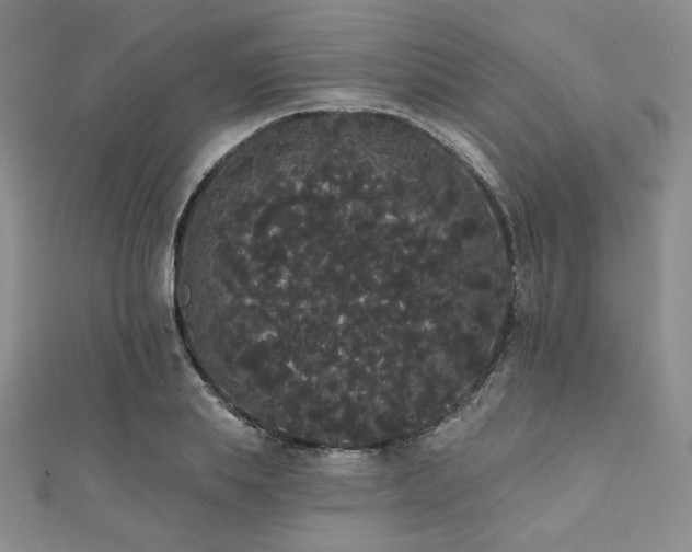 X0000112000839200908031227