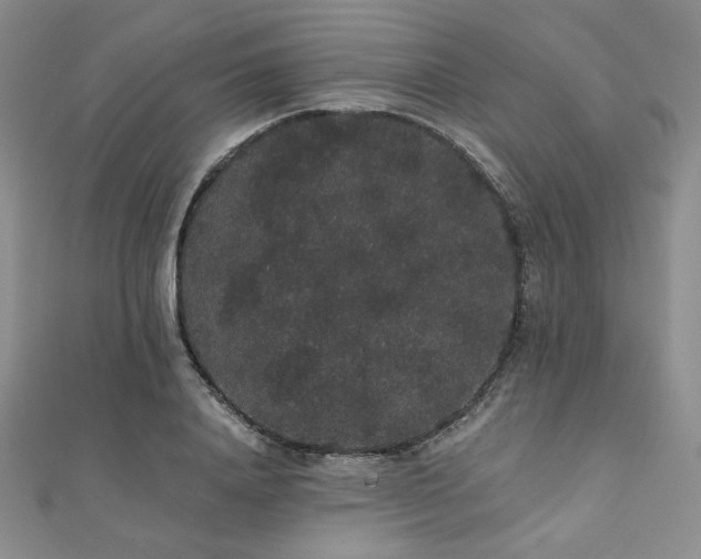 X0000112000840200908031227