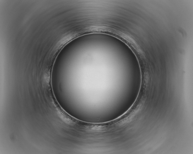 X0000112000841200908031227