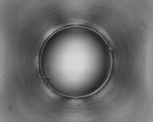 X0000112000842200908031227