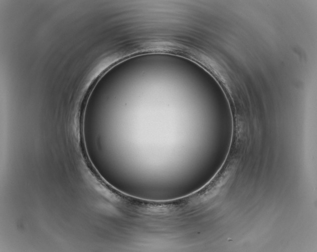 X0000112000843200908031227