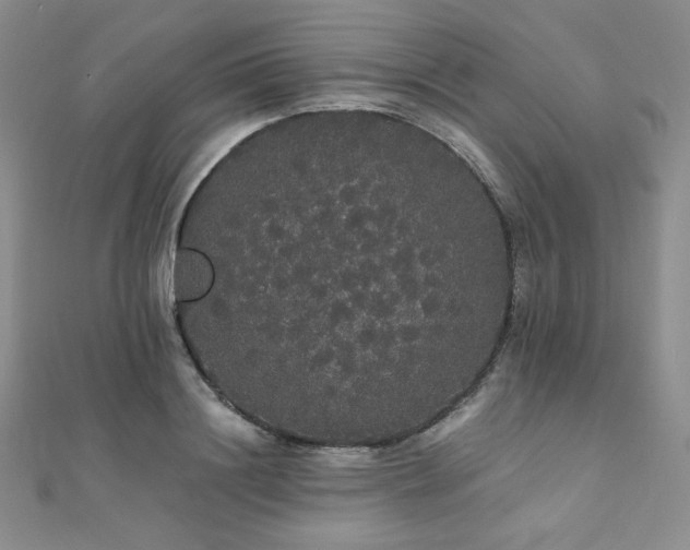 X0000112000844200908031227