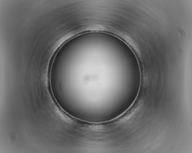 X0000112000845200908031227