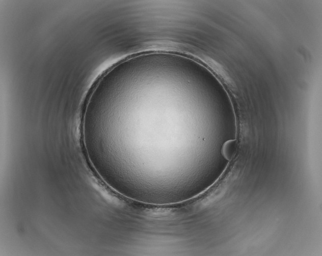 X0000112000846200908031227