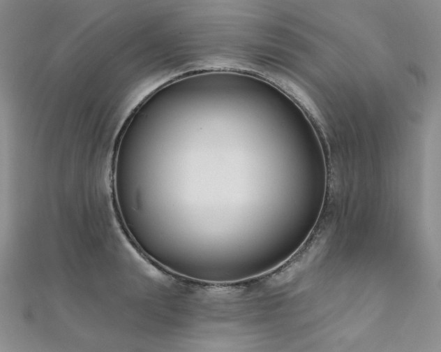 X0000112000847200908031227