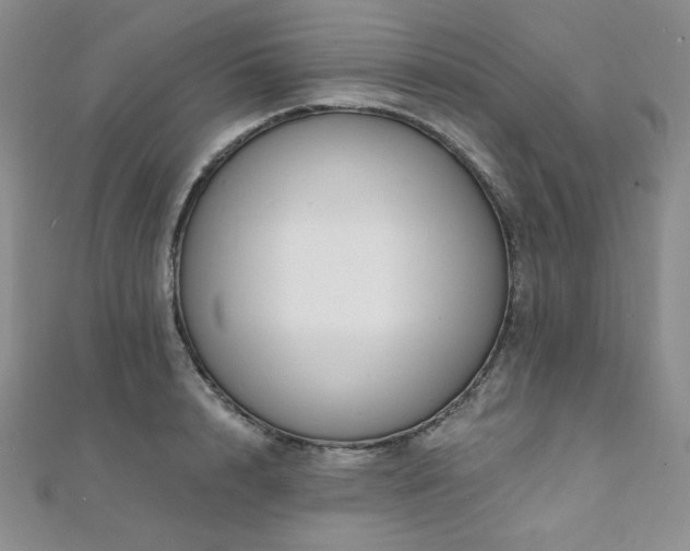 X0000112000848200908031227