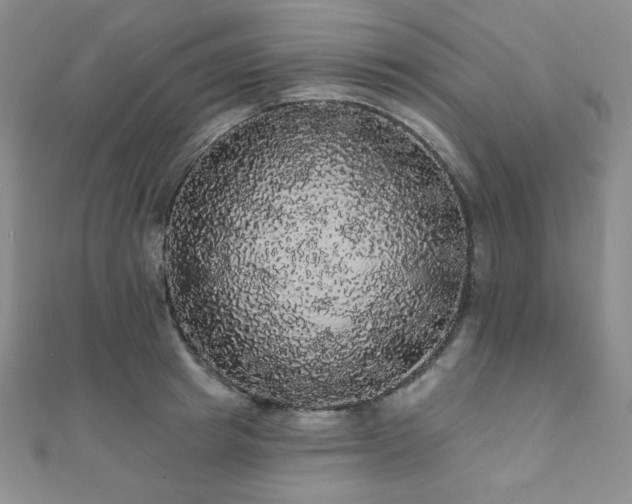 X0000112000849200908031227