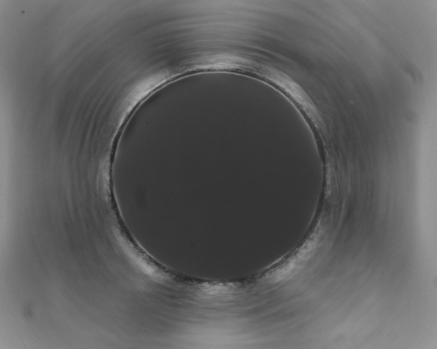 X0000112000850200908031227