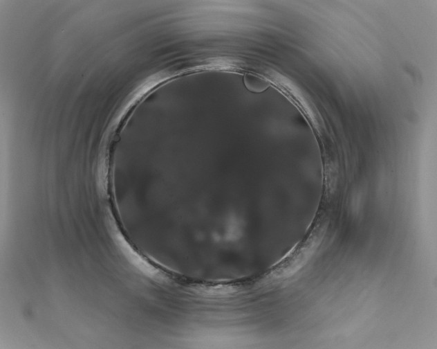 X0000112000851200908031227