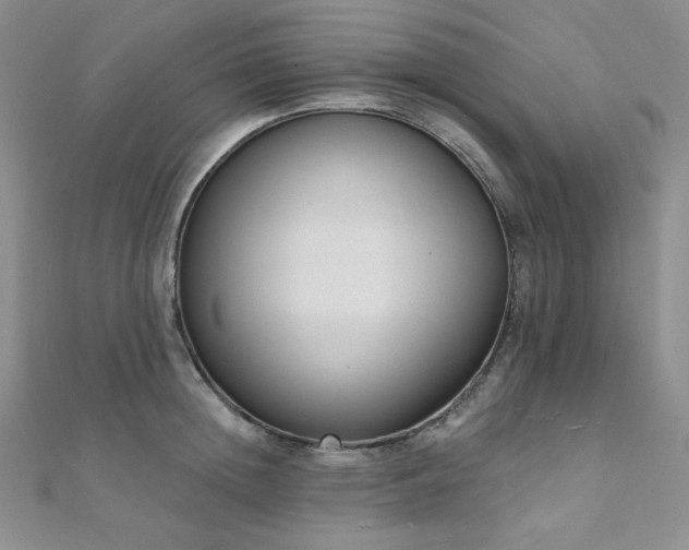 X0000112000852200908031227