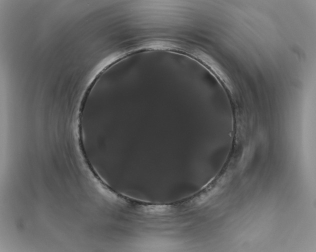 X0000112000853200908031227