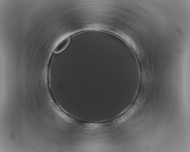 X0000112000854200908031227