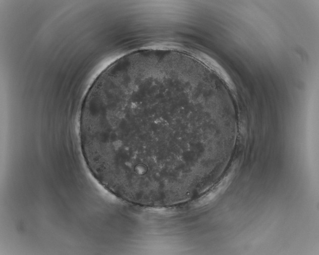 X0000112000855200908031227