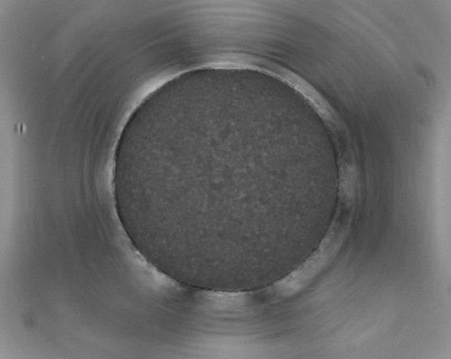 X0000112000856200908031227