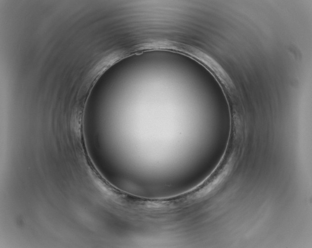 X0000112000857200908031227