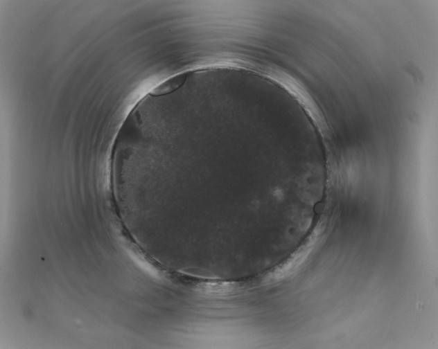 X0000112000858200908031227