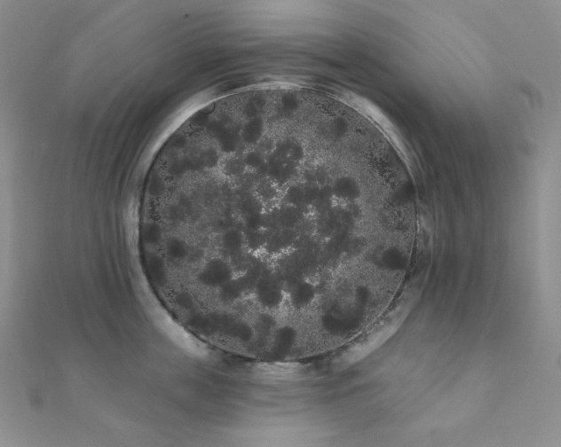 X0000112000859200908031227