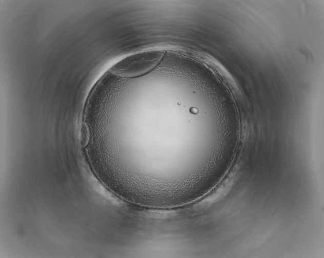 X0000112000860200908031227