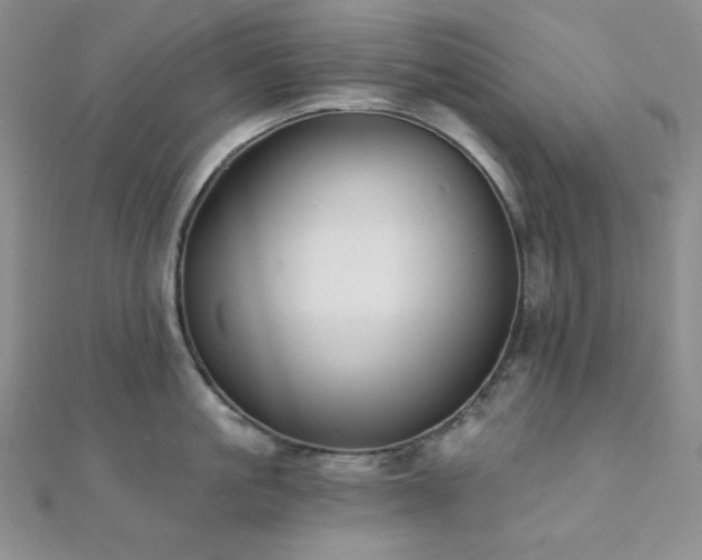 X0000112000861200908031227