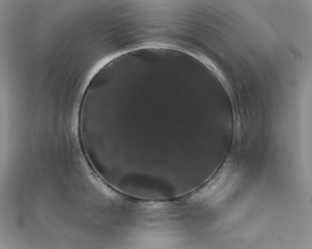 X0000112000862200908031227