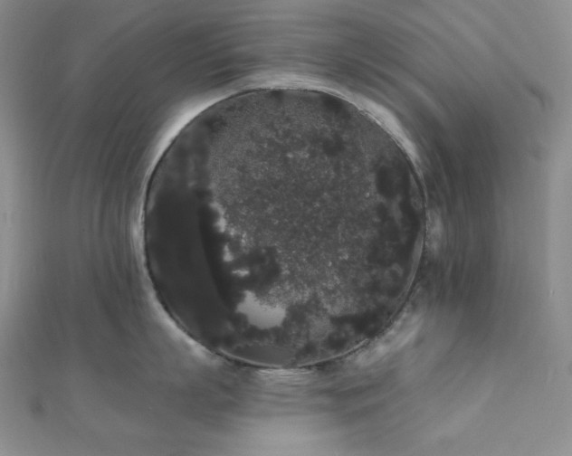 X0000112000863200908031227