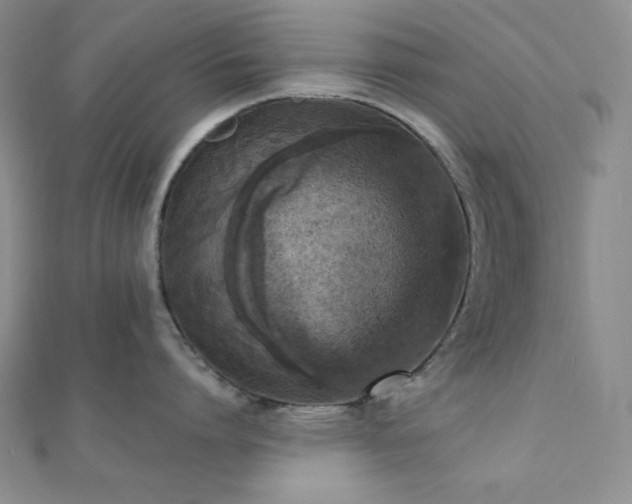 X0000112000864200908031227