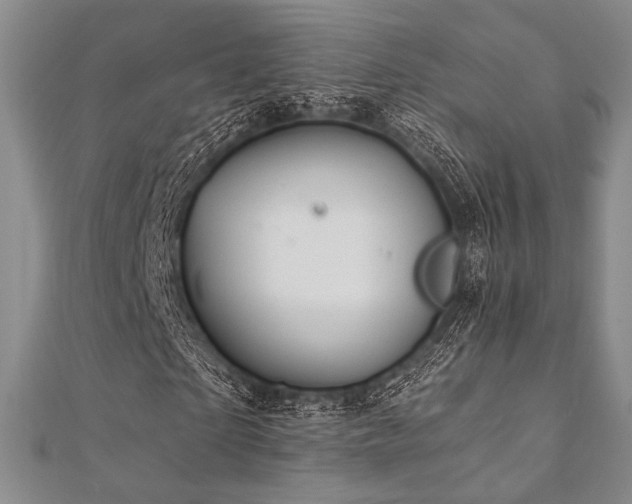 X0000112000865200908031227