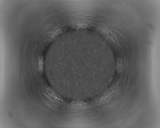 X0000112000866200908031227