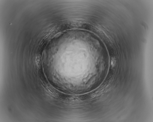 X0000112000867200908031227