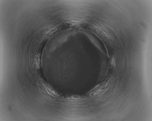 X0000112000868200908031227