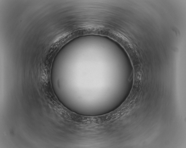 X0000112000869200908031227