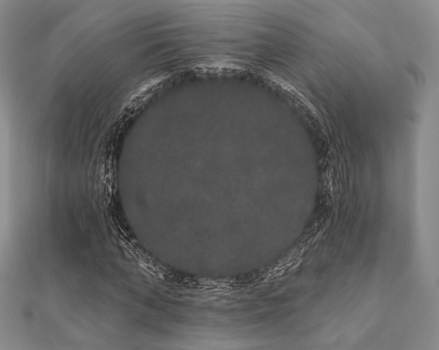 X0000112000870200908031227