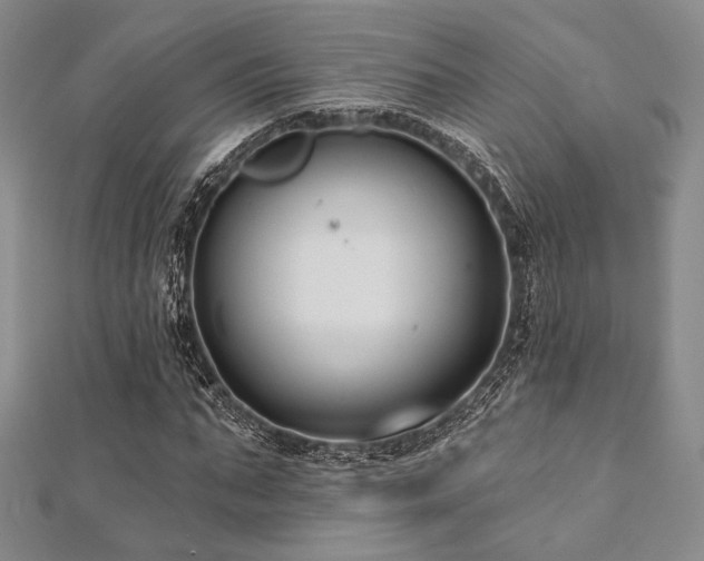 X0000112000871200908031227