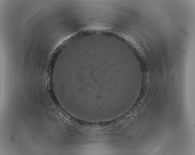 X0000112000872200908031227