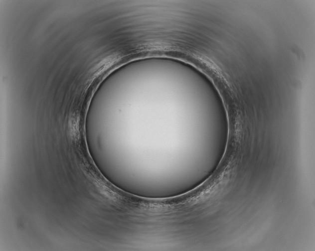 X0000112000873200908031227