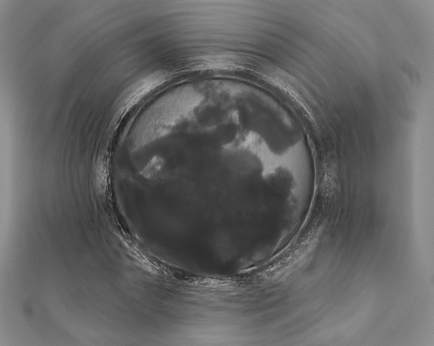 X0000112000874200908031227