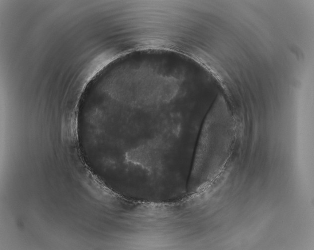 X0000112000877200908031226